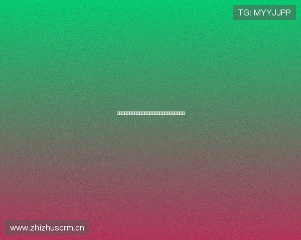 上海五星体育直播源全方位解析精彩赛事直播平台与内容服务